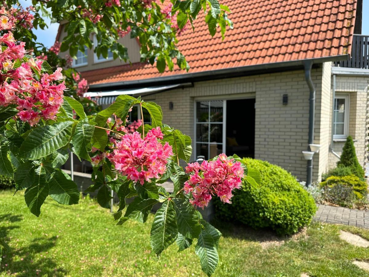 Appartamento Familienurlaub Im Gruenen Wernigerode Esterno foto