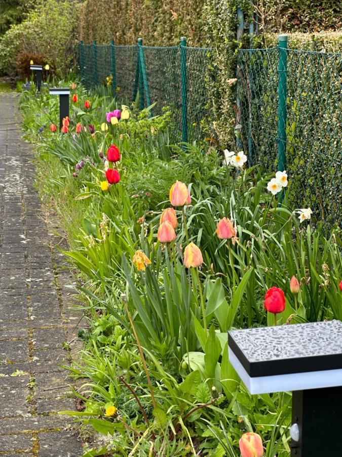 Appartamento Familienurlaub Im Gruenen Wernigerode Esterno foto